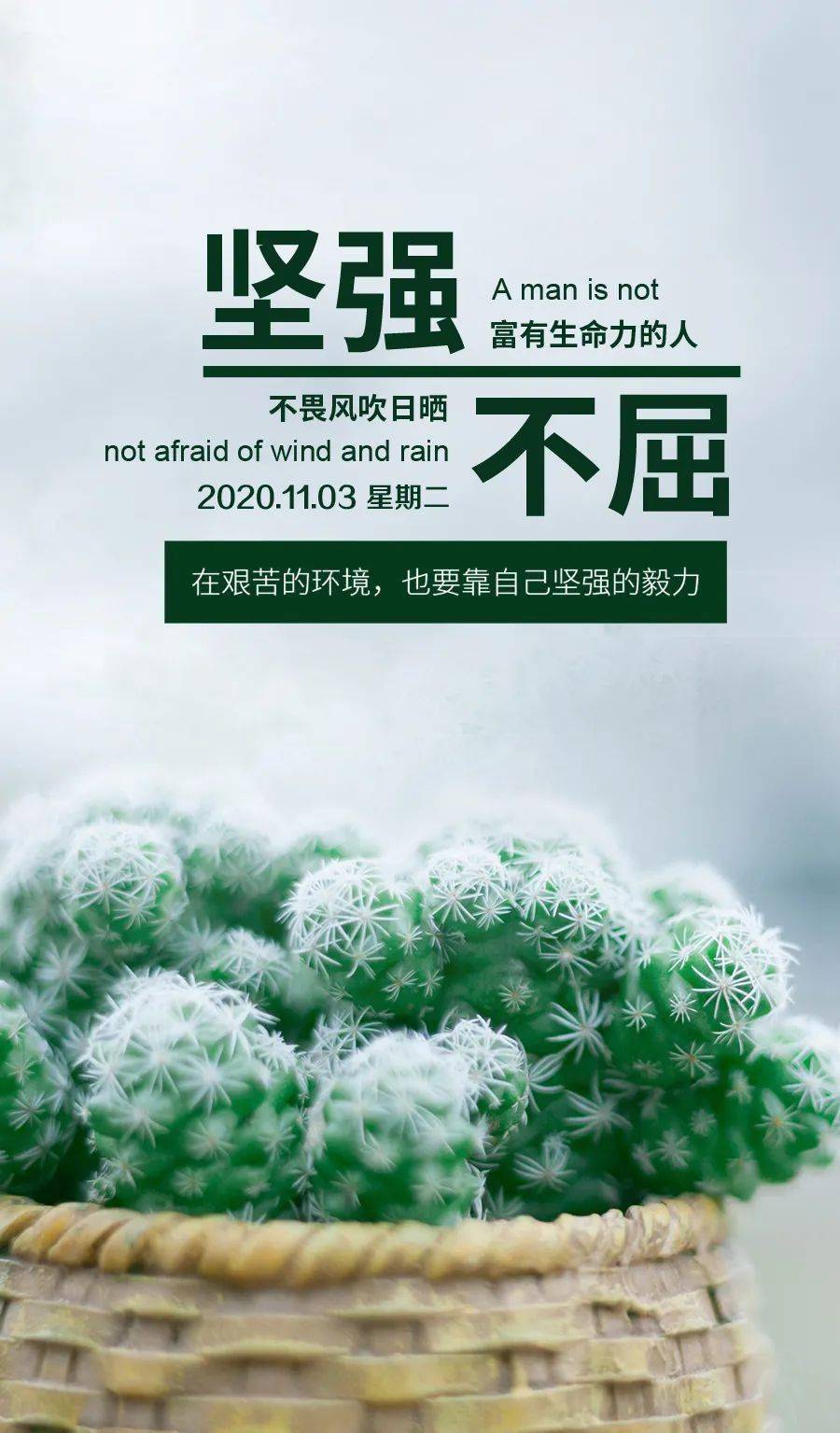 11月3日早安心語正能量語錄致自己朋友圈最新早上好圖片帶字正能量