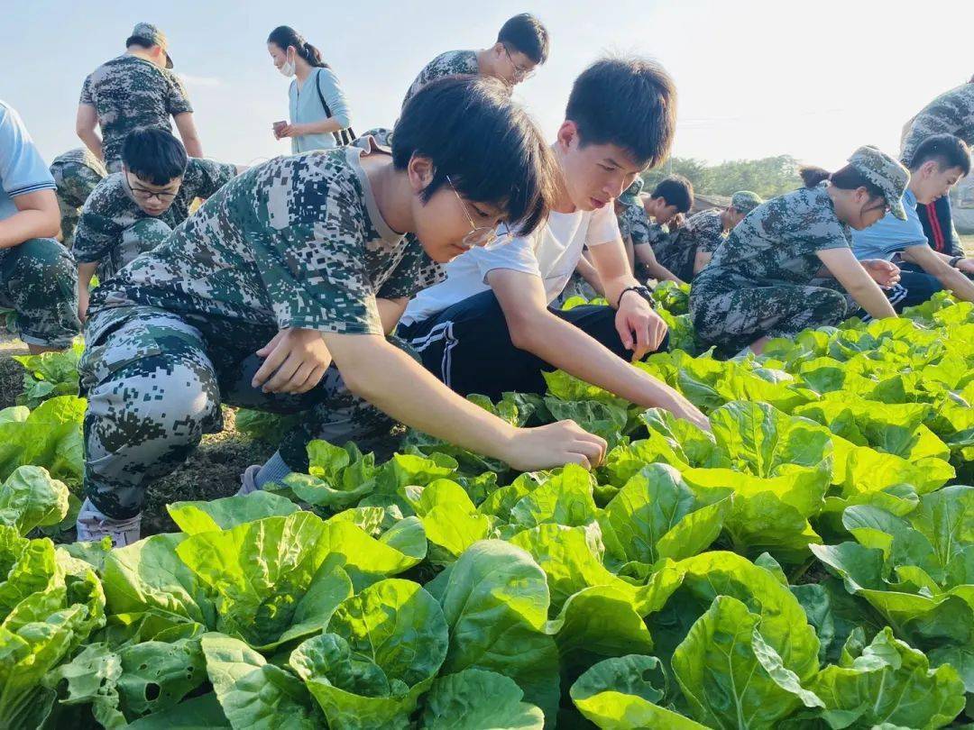 漳浦第一中学高一年级东南花都研学实践教育活动知行合一研学相生