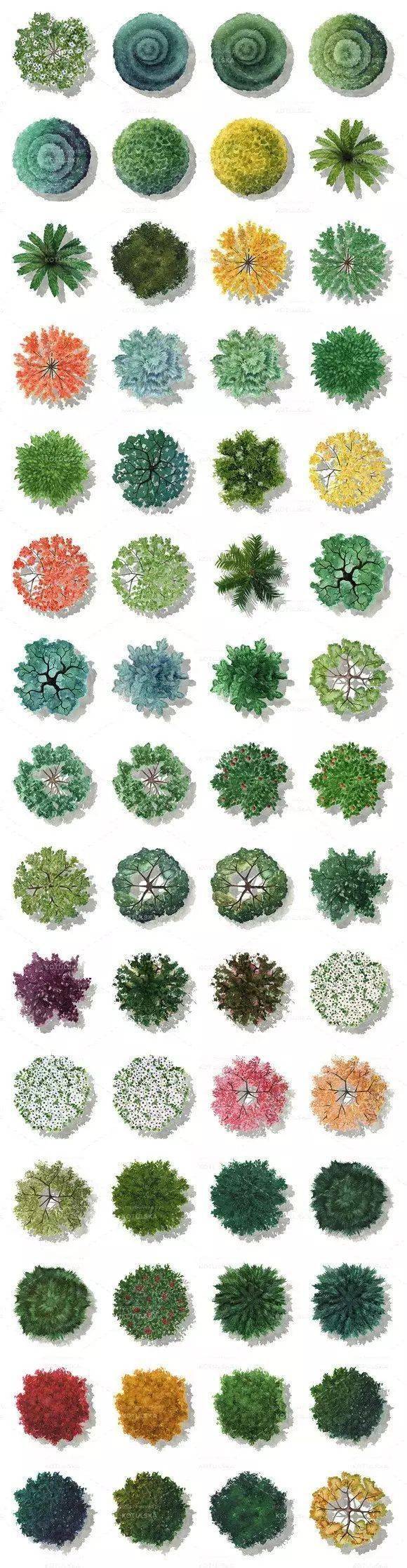 文末附:彩平图素材大礼包--福利03-5款植物做得很棒的彩平图psd源