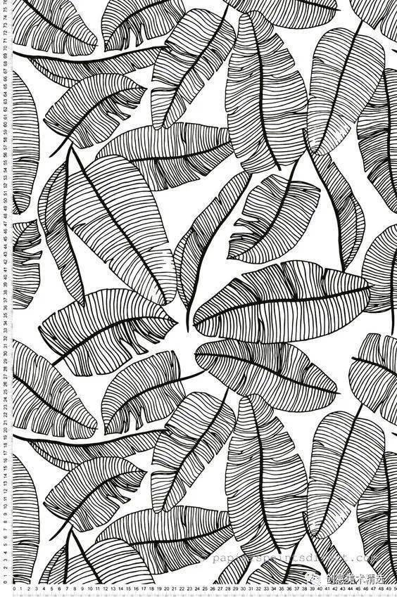 树叶抽象画线条图片