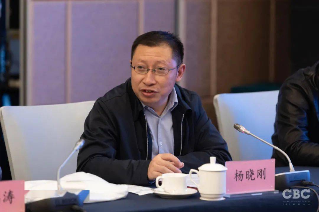 01 - 杨晓刚 :从上午的汇报会可以看出,各团队的方案都非常尊重山水
