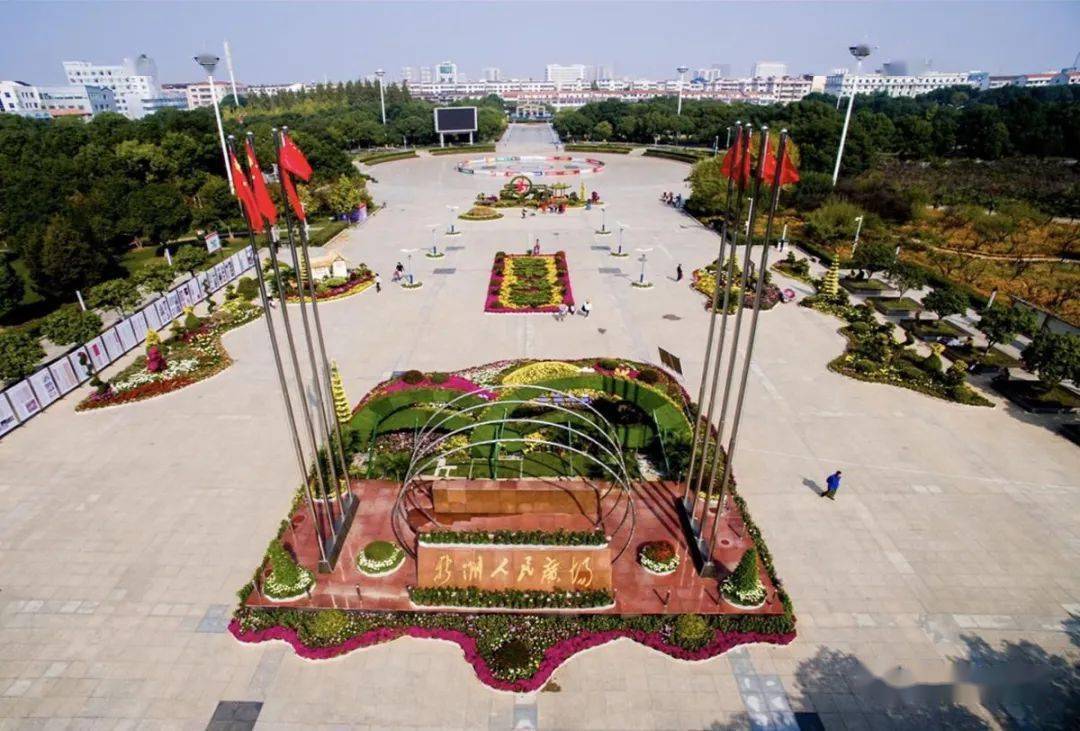 新洲人民广场菊展进入盛花期