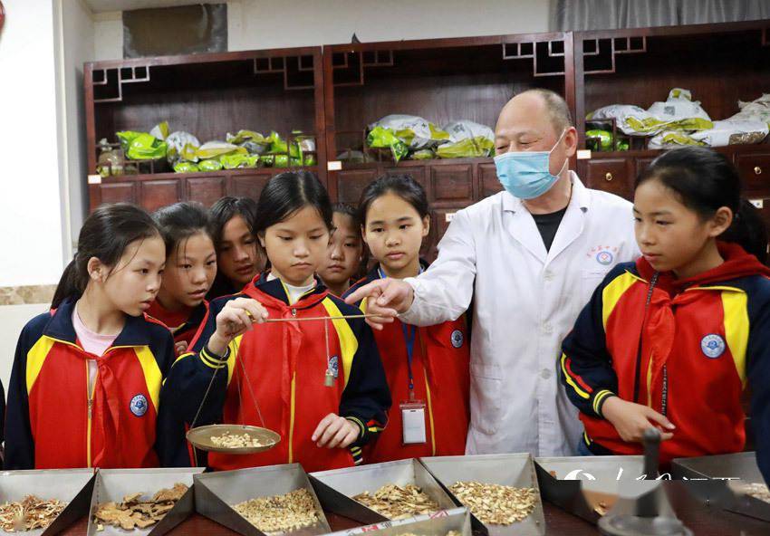 在江西省吉安市吉水县中医院的药房内,中医师正在为学生们讲解中药的