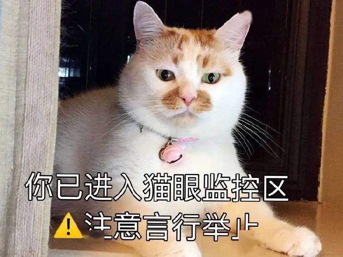 继续说