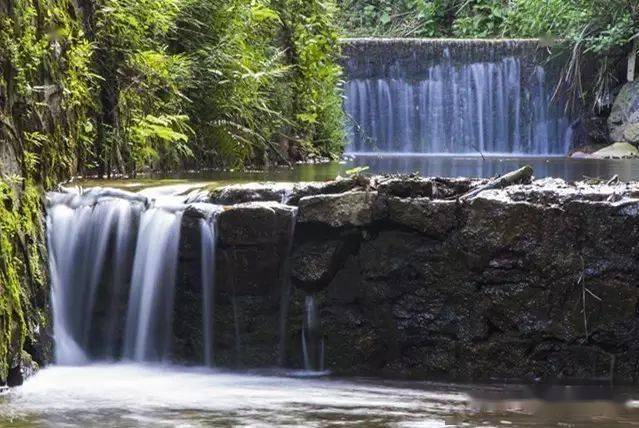界水动态长见识赏美景在界水乡体验不一样的秋季研学