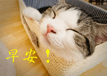 周四你好新的一天从我的问候开始早安