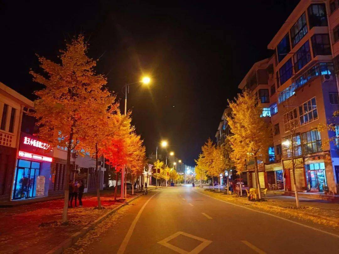 这里是舟曲,灯火万家,美轮美奂!