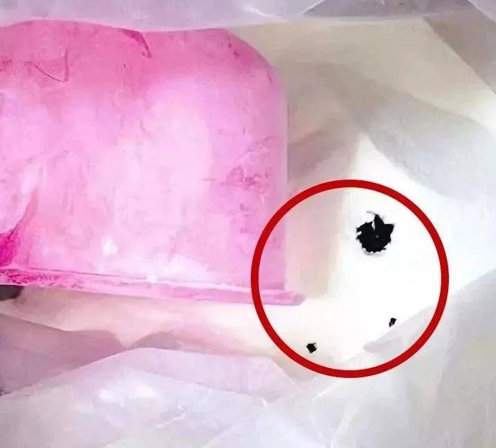 配料袋里爬出蟑螂,被养得又大又肥;芒果变质出现怪味,就把"好的果肉混