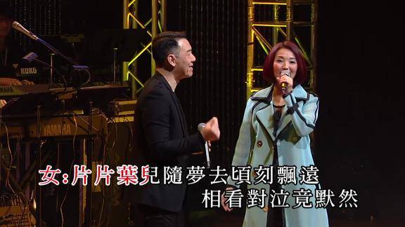 许秋怡王书麒联袂演唱片片枫叶情十分好听