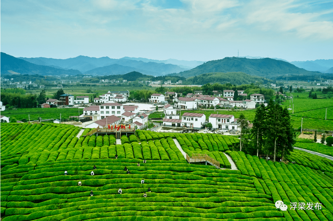 生活美生态美家园美田园美浮梁县全力打好农村人居环境整治三年行动