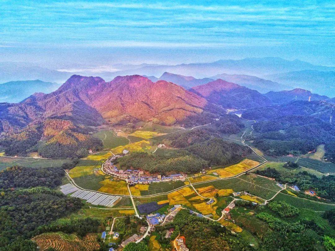 中国绿都最氧三明森林康养直播②仙手桥侠客行观鸟游三明的这些康养