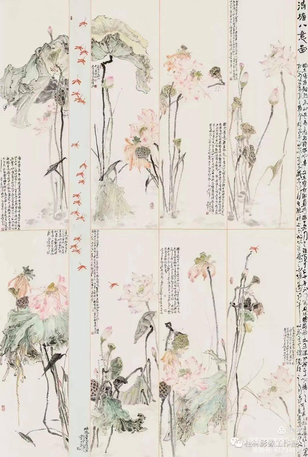 梁海岸|写意紫藤牡丹菊花荷花技法班