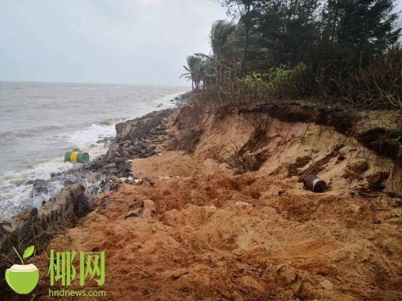 堤的整治修复工作已纳入《海口市东海岸如意岛围填海项目生态保护修复