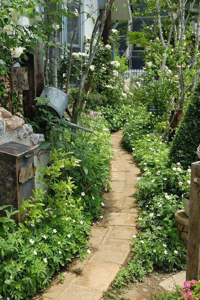 杂货铺店主绿野花园的四季记录