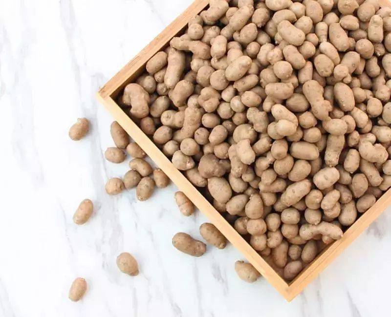 今年也来和我们一起采摘山药豆吧11月14日一起出发