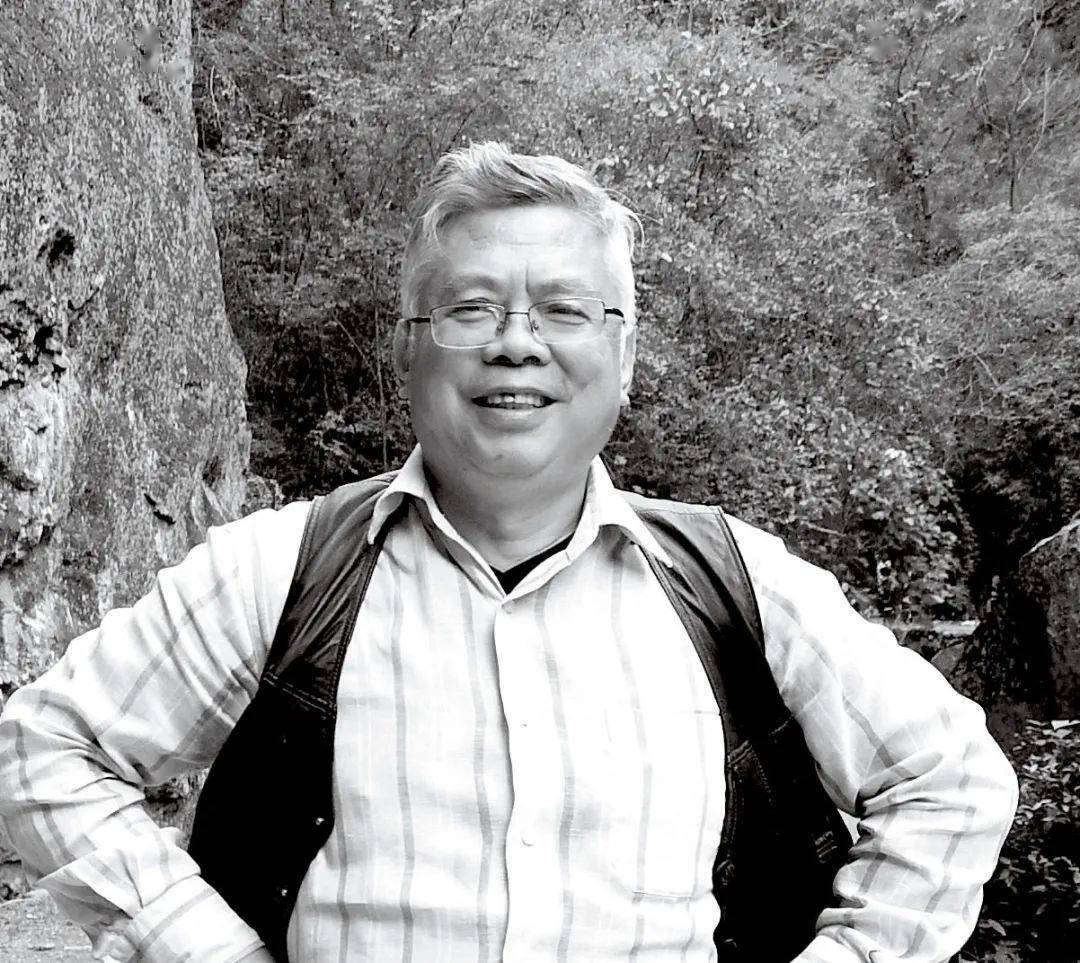 疫情后是收藏大好时机我谈八点攻略蒋跃专栏