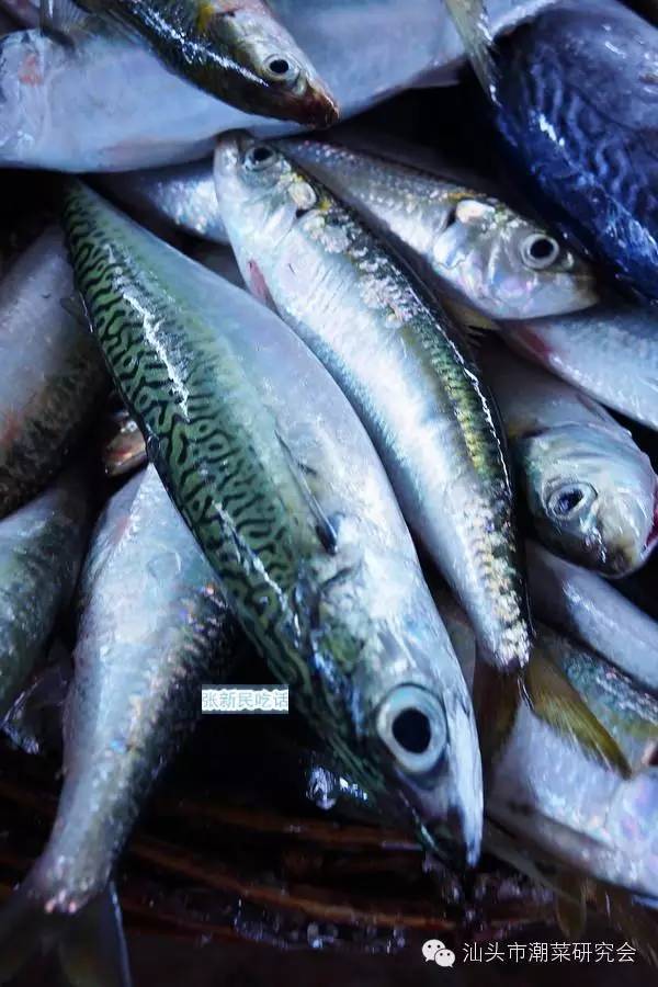 巴浪熟鱼又是怎么制作的呢?_潮汕