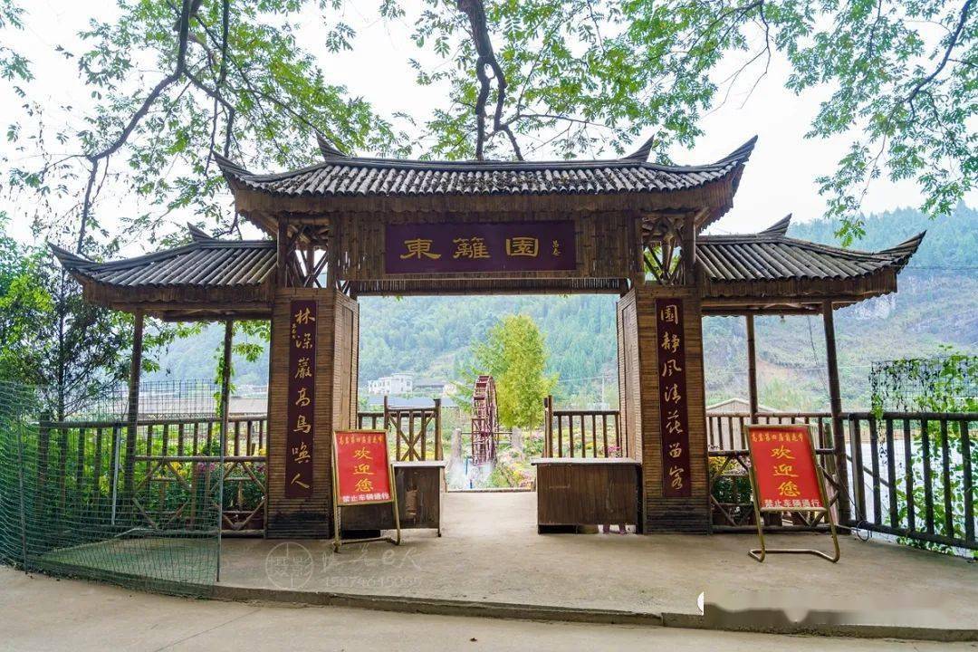 文旅活动高岩东篱园秋意如诗来东安这个地方赏醉人秋菊