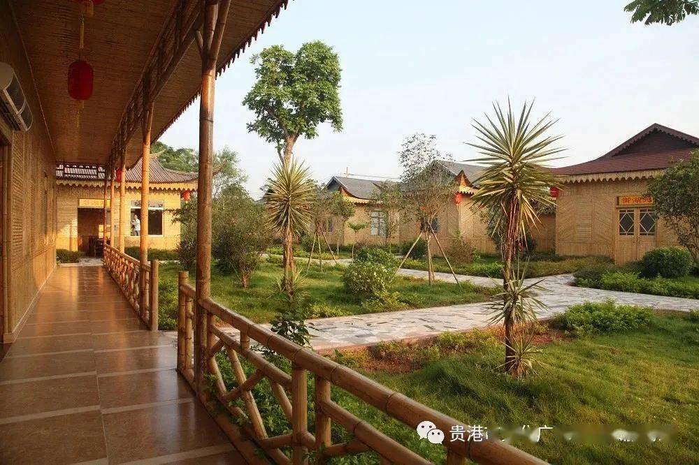 重磅消息平南新增1家五星级乡村旅游区很多人都去过