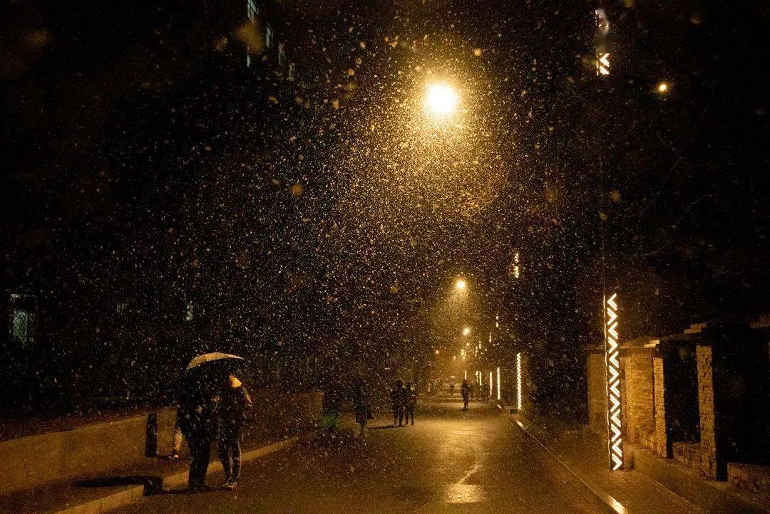 午夜首发!|| 飘雪东林夜,今朝庭散落