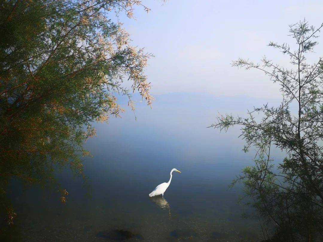 手机摄影丨华为2020新影像大赛获奖作品欣赏