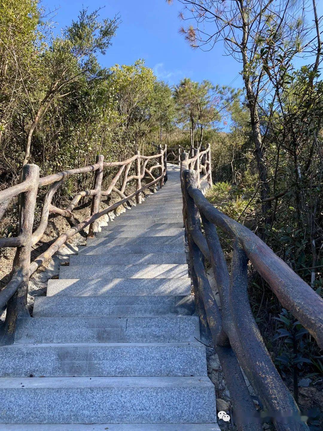 应众人呼吁,大坪高氏宗亲会组建筹备马峰山景区建设