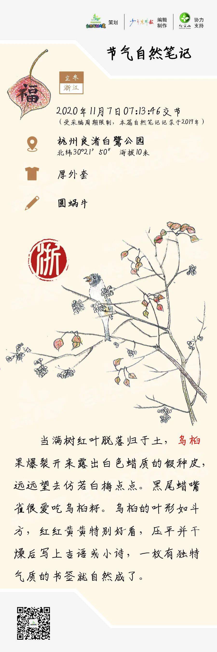 节气立冬自然笔记