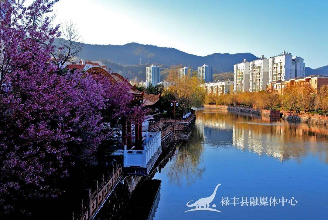 美丽县城禄丰全力打造干净宜居特色智慧美丽县城