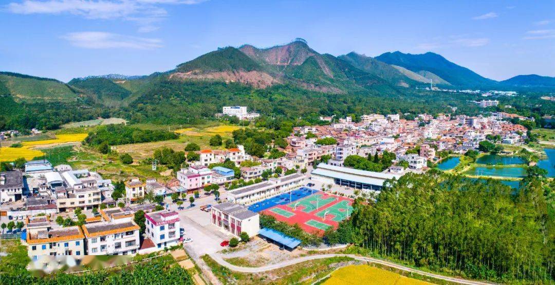 富硒小镇诗画迳口乡村文化振兴志愿集市活动在四会市热闹上演