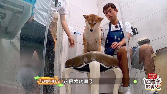 张继科帮盆妹洗完澡接着又开始和面包饺子真是好男人标准