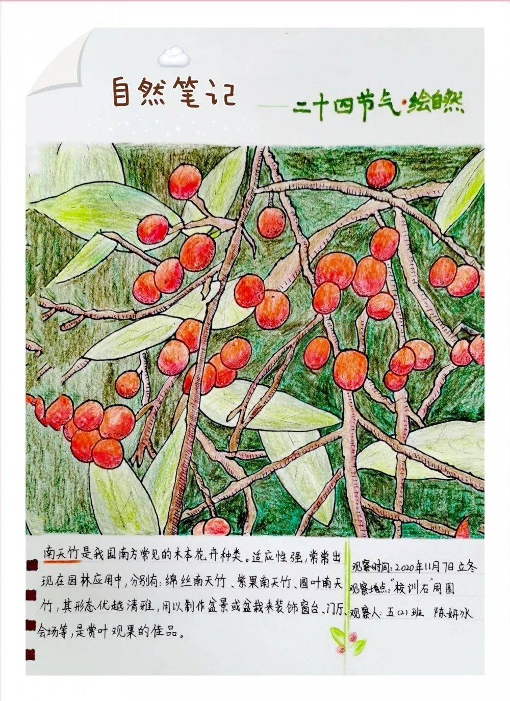 节气 | 今日立冬:万物始冬藏
