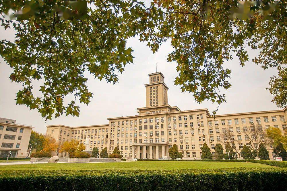 南开大学主楼天津大学银杏长虹一隅南开融媒出品