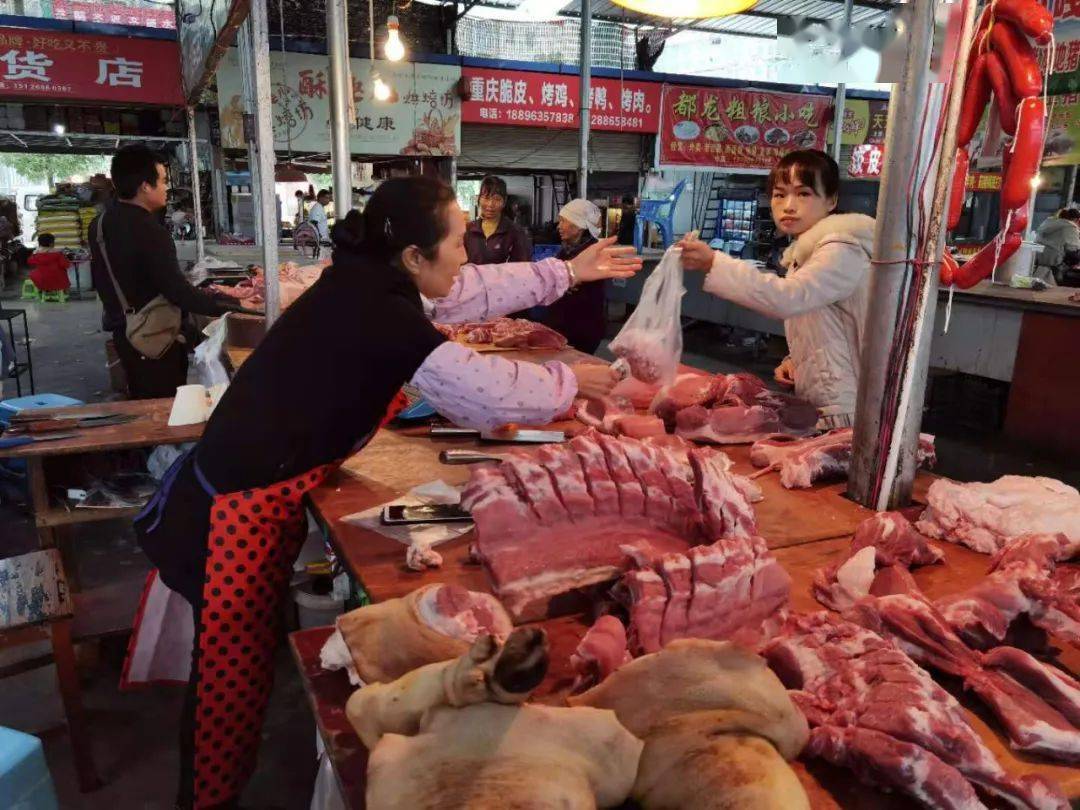 文山猪肉降价了你不买点