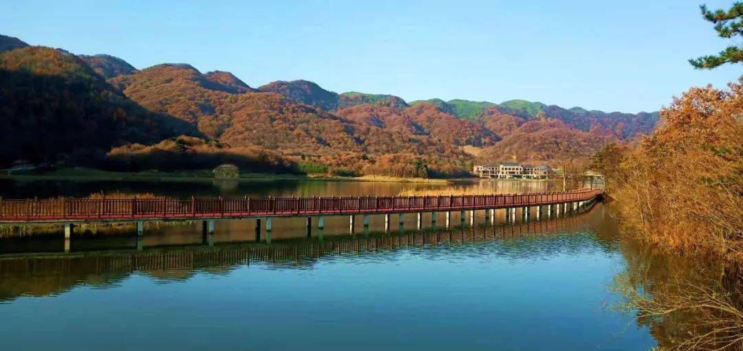 月坝的初冬秘境不容错过的视觉盛宴