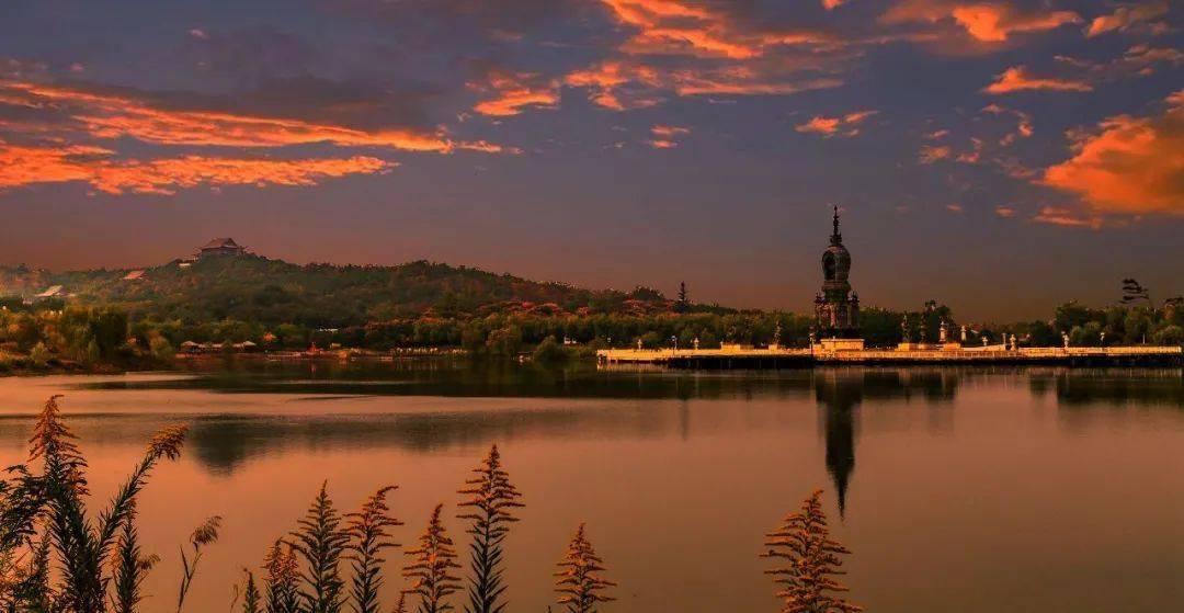 人间重晚情铁富镇花开疫散杏福时光摄影大赛参赛作品展