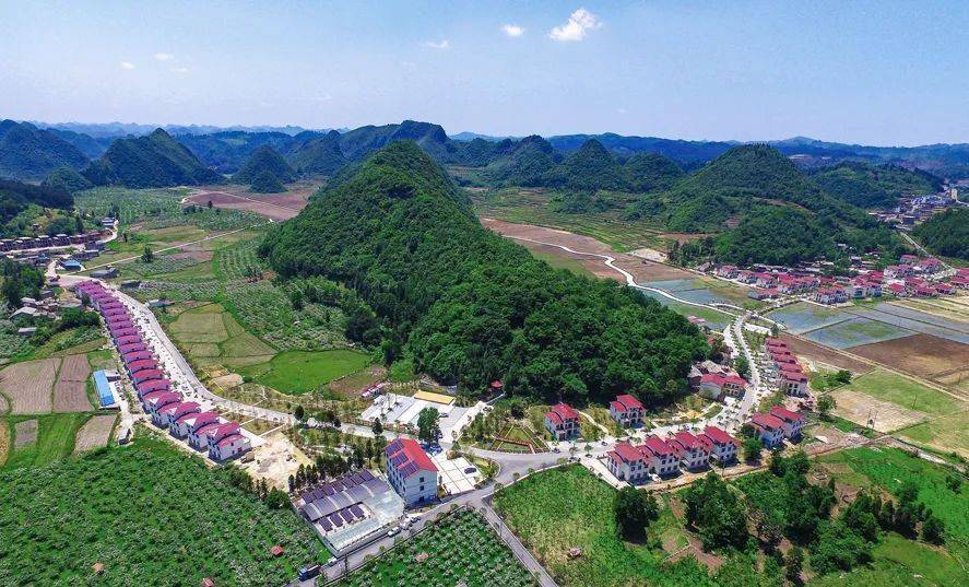 近日,贵州安顺市西秀区双堡镇大坝村党支部书记陈大兴,贵州大学新农村