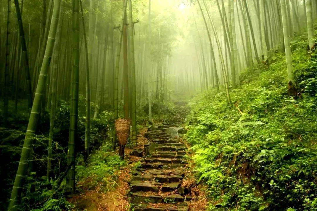 11月29日户外旅行湖州天字古道