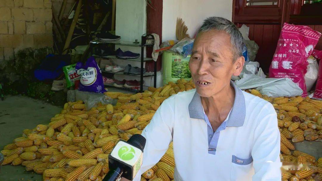 走向我们的小康生活四十三丨省级脱贫攻坚奖扶贫好村官李元萍让青春之