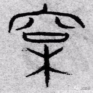 每日一字 松_金文