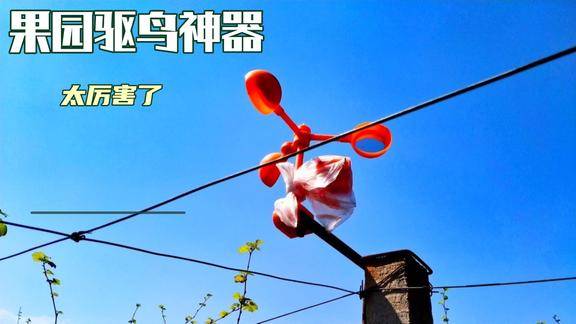 果园驱鸟神器太厉害发出声音吓我一跳农民安装几个不怕小鸟了