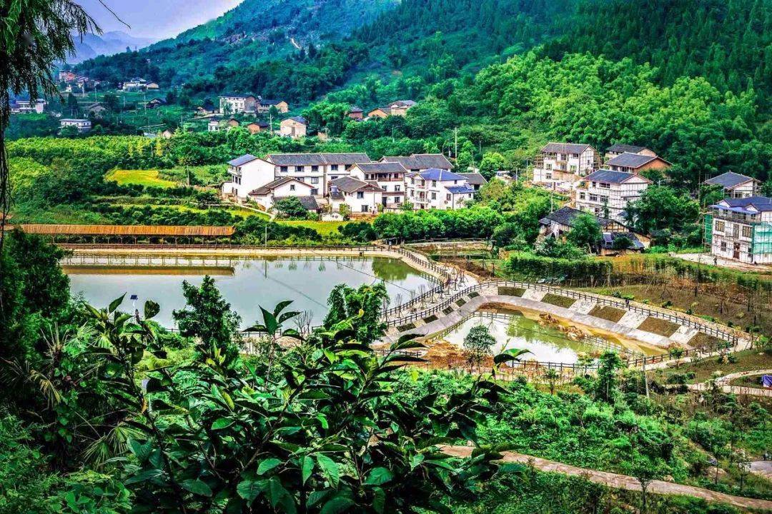 肖业明/摄《幸福都是奋斗出来的》(组照)开州区临江镇福德村