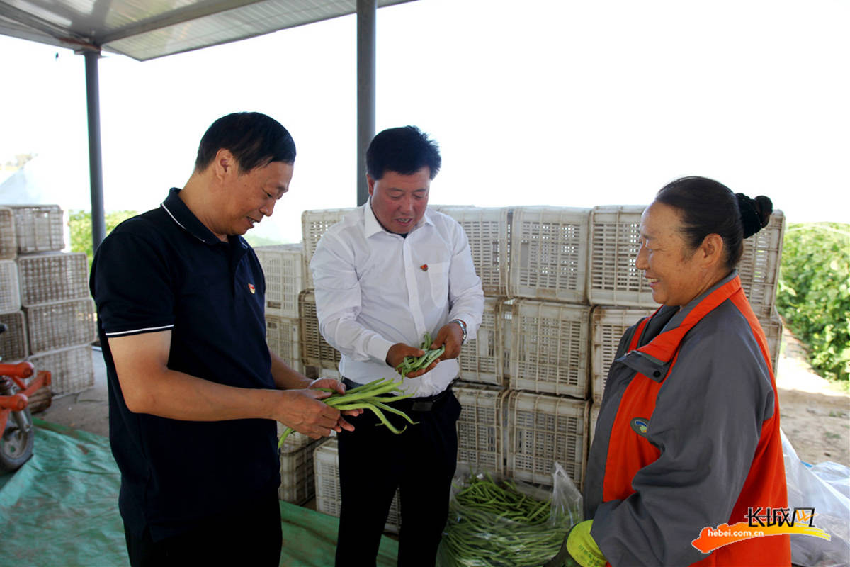 我们的全村福丨张家口市阳原县西沙庄村:"颜值"高产业兴 村民生活水平