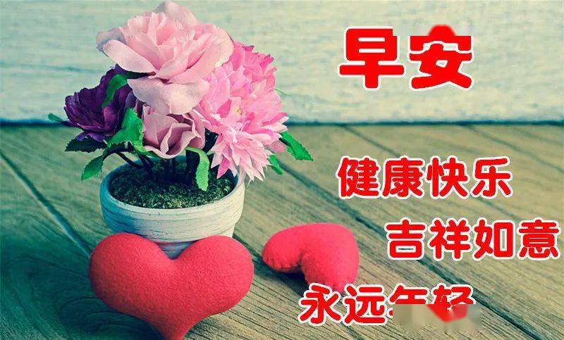 11月11日最漂亮早上好动态表情图片大全,早晨好动图美图大全