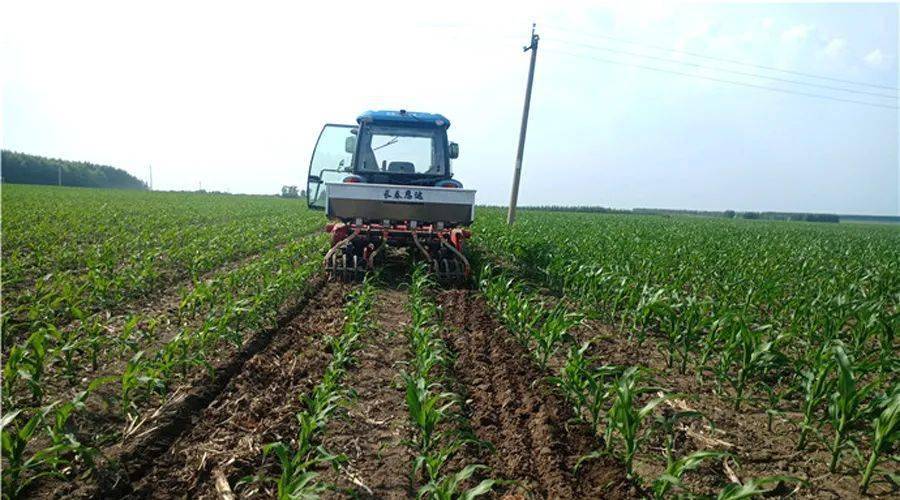 积极开展智力帮扶贫困活动,先后10余次到吉林省梨树县,乾安县,东丰