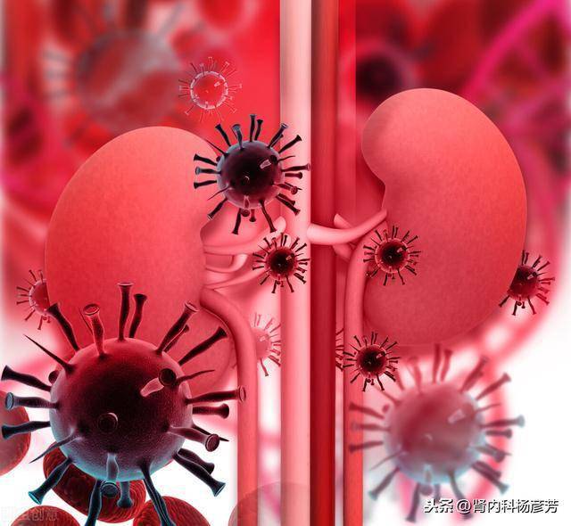 如何区分肾炎肾病综合征肾功能不全等概念我来告诉你