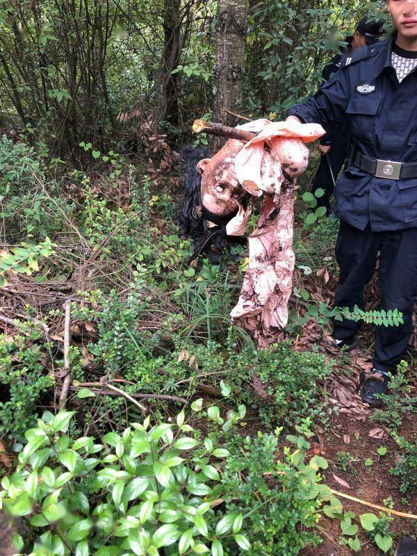 云南曲靖村民山上发现一具"女尸"警方赶到后虚惊一场:充气娃娃_手机