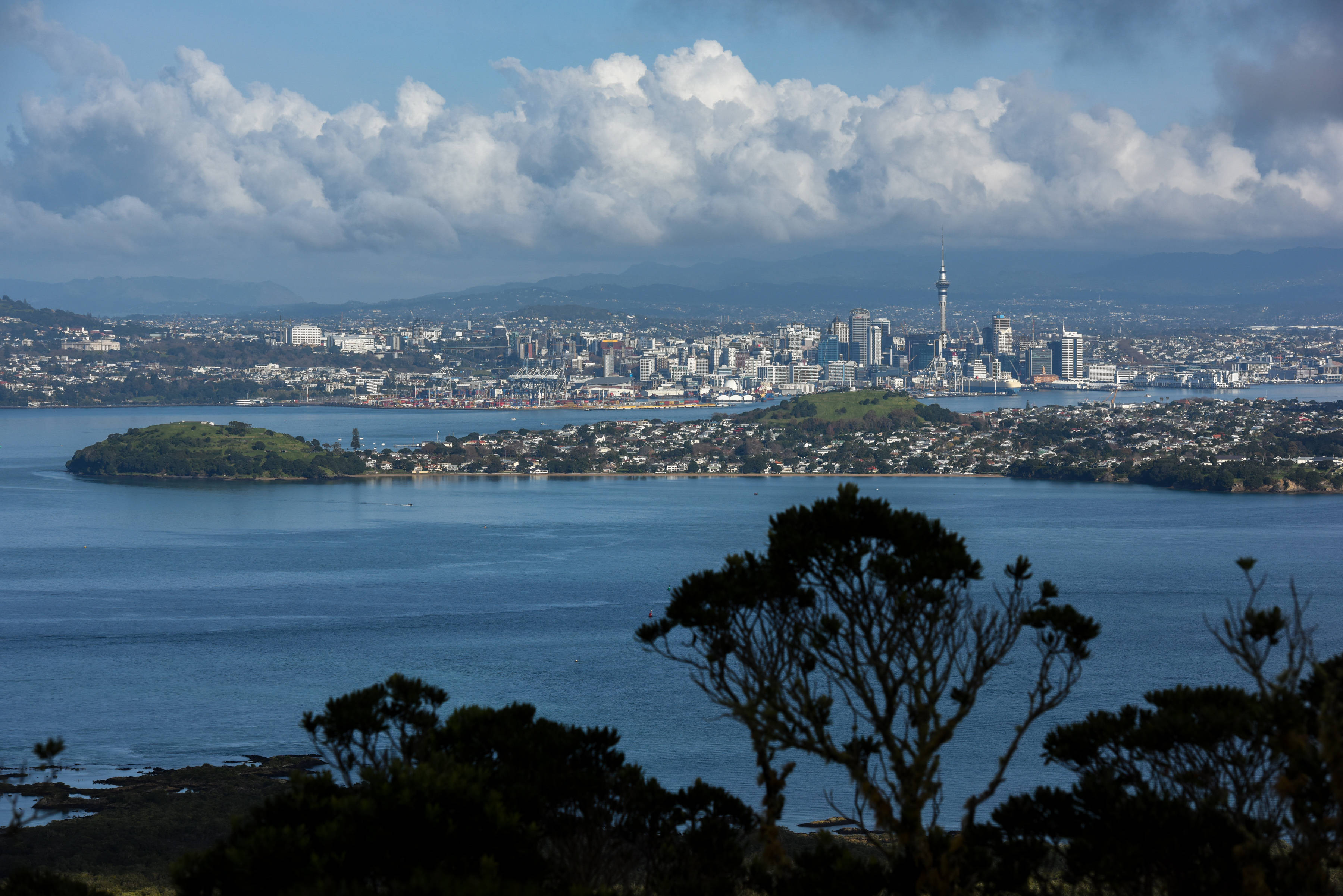 奥克兰,繁华喧嚣与质朴自然并存_托托