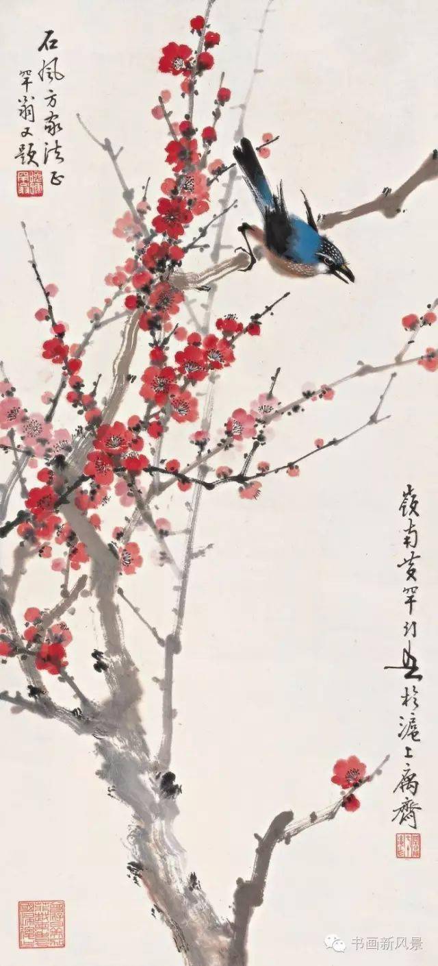 黄幼吾梅花美醉啦