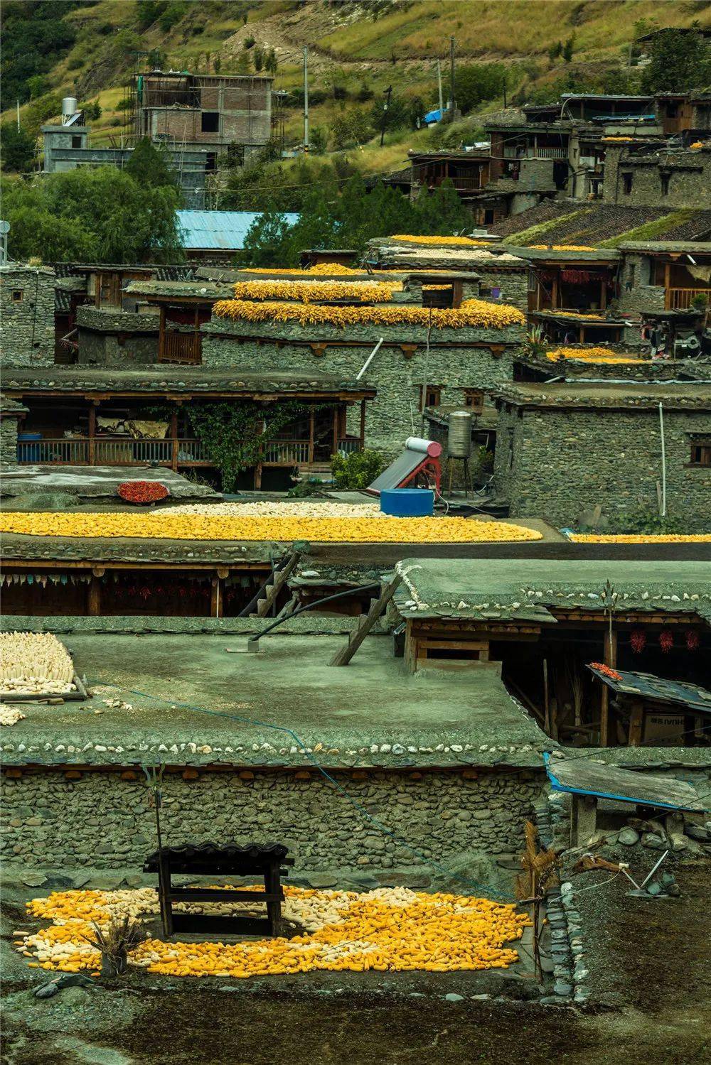 【人文纪实】津门网何建文:俄亚大村的秋