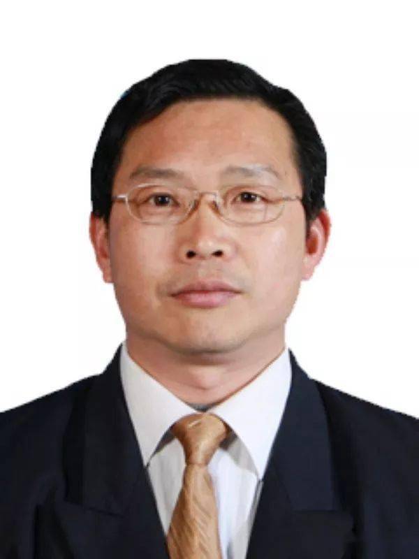 播音】那棵树_郑启航